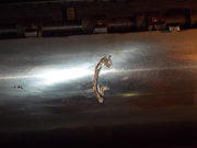 Cylinder repair